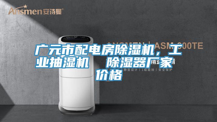 廣元市配電房草莓视频污污污污，工業抽濕機  除濕器廠家 價格