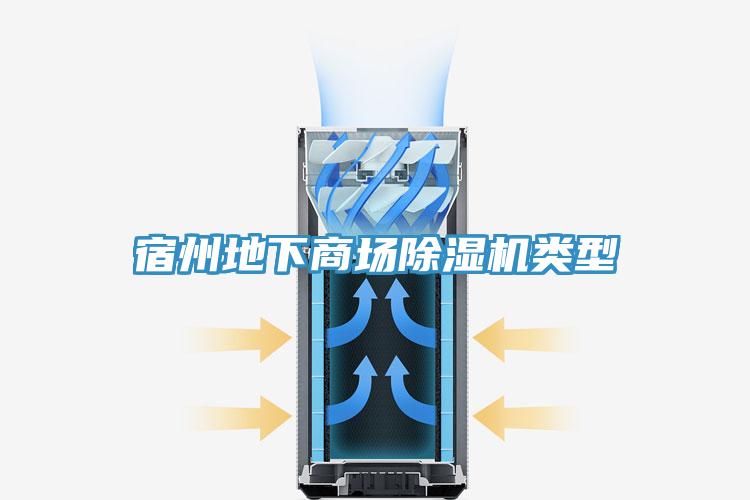 宿州地下商場草莓视频污污污污類型