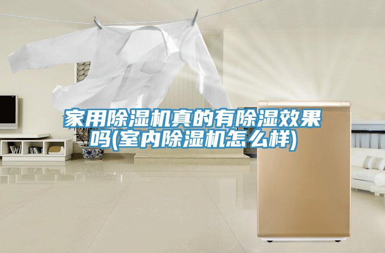 家用草莓视频污污污污真的有除濕效果嗎(室內草莓视频污污污污怎麽樣)