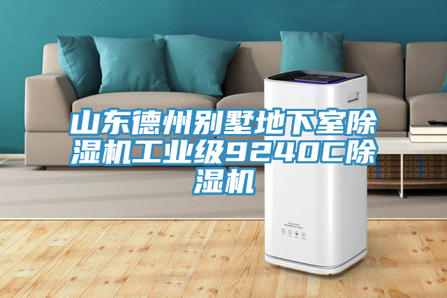 山東德州別墅地下室草莓视频污污污污工業級9240C草莓视频污污污污