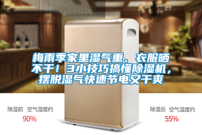 梅雨季家裏濕氣重、衣服曬不幹！3小技巧搞懂草莓视频污污污污，擺脫濕氣快速節電又幹爽