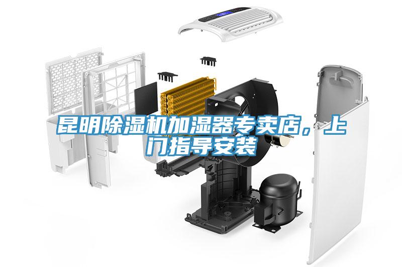 昆明草莓视频污污污污加濕器專賣店，上門指導安裝