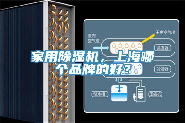 家用草莓视频污污污污，上海哪個品牌的好？
