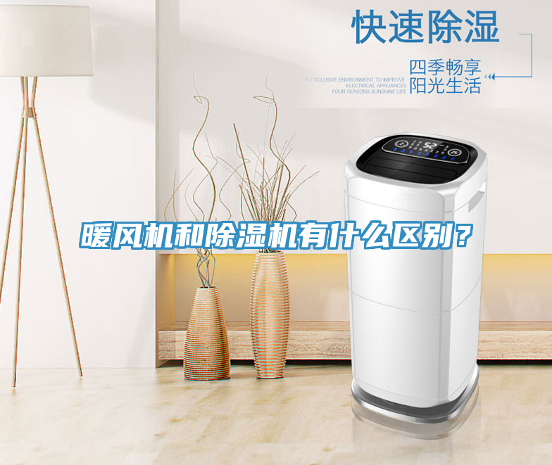 暖風機和草莓视频污污污污有什麽區別？