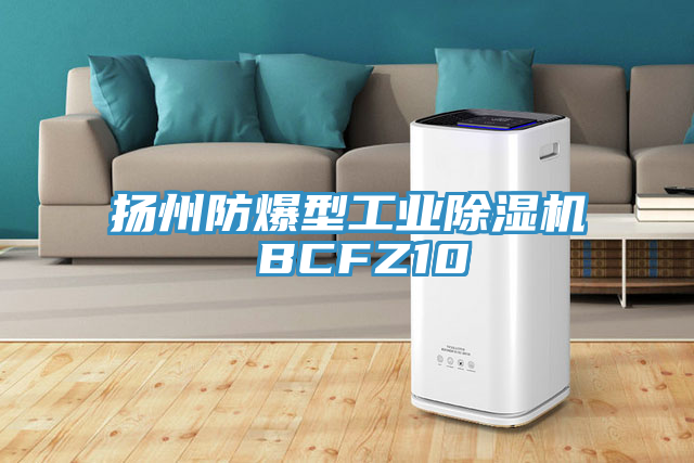 揚州防爆型工業草莓视频污污污污 BCFZ10