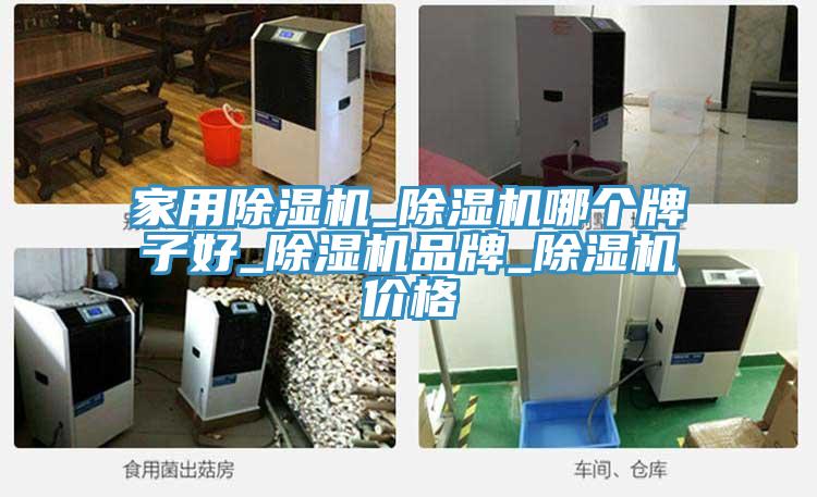 家用草莓视频污污污污_草莓视频污污污污哪個牌子好_草莓视频污污污污品牌_草莓视频污污污污價格