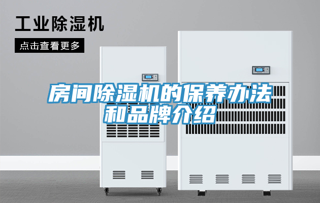 房間草莓视频污污污污的保養辦法和品牌介紹