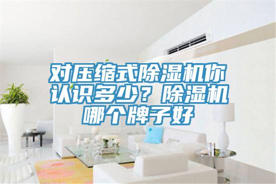 對壓縮式草莓视频污污污污你認識多少？草莓视频污污污污哪個牌子好