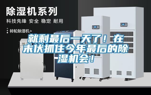 就剩最後一天了！在末伏抓住今年最後的草莓视频污污污污會！