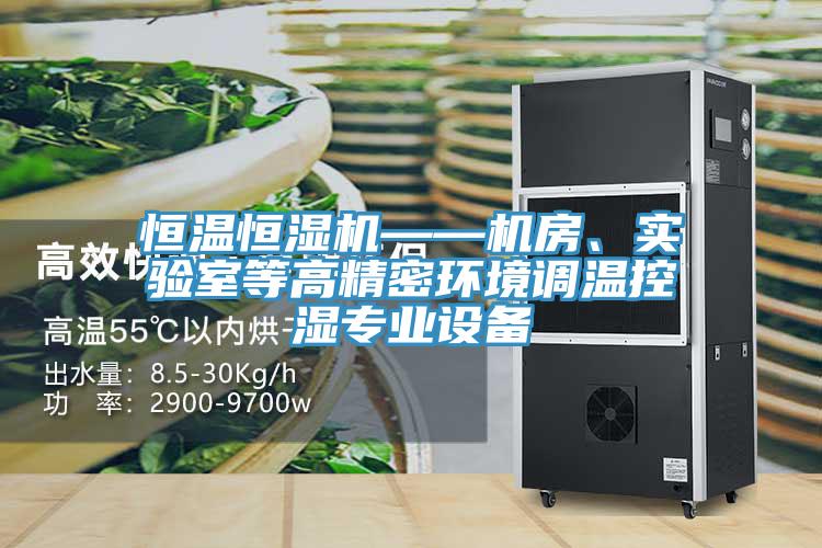 恒溫恒濕機——機房、實驗室等高精密環境調溫控濕專業設備