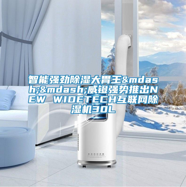 智能強勁除濕大胃王——威鐙強勢推出NEW WIDETECH互聯網草莓视频污污污污30L