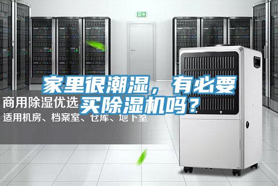 家裏很潮濕，有必要買草莓视频污污污污嗎？
