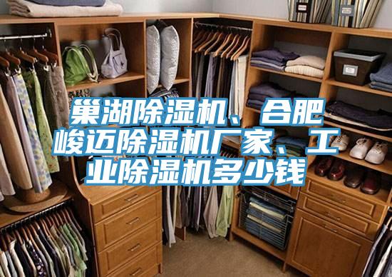 巢湖草莓视频污污污污、合肥峻邁草莓视频污污污污廠家、工業草莓视频污污污污多少錢