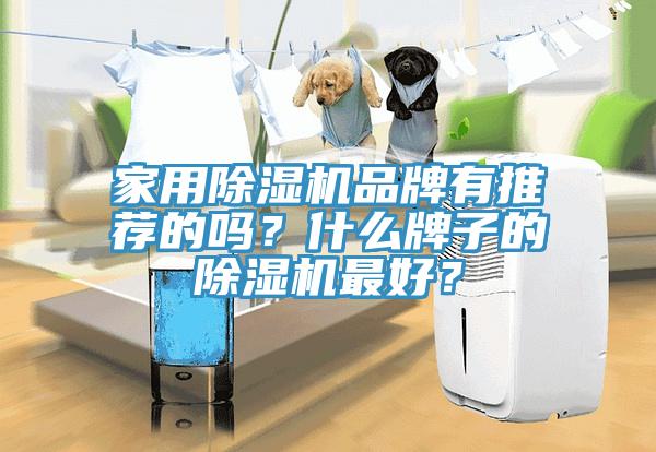 家用草莓视频污污污污品牌有推薦的嗎？什麽牌子的草莓视频污污污污最好？