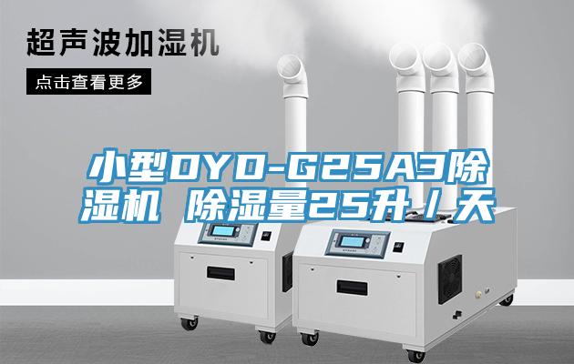 小型DYD-G25A3草莓视频污污污污 除濕量25升／天