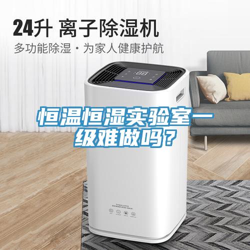 恒溫恒濕實驗室一級難做嗎？