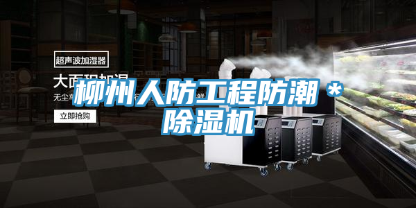 柳州人防工程防潮＊草莓视频污污污污