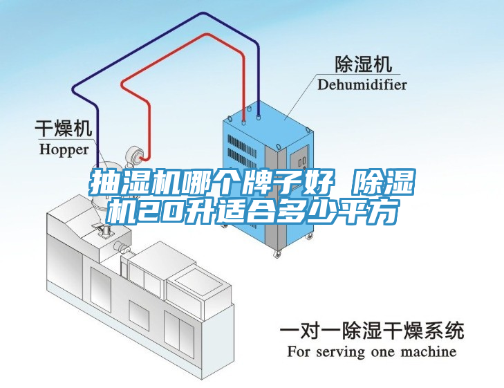 抽濕機哪個牌子好 草莓视频污污污污20升適合多少平方