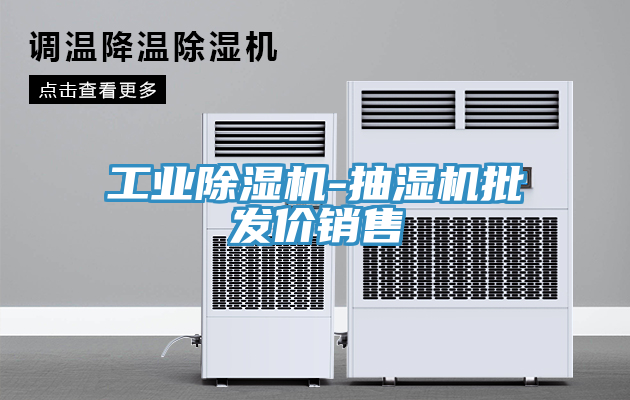 工業草莓视频污污污污-抽濕機批發價銷售