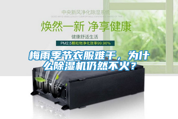 梅雨季節衣服難幹，為什麽草莓视频污污污污仍然不火？