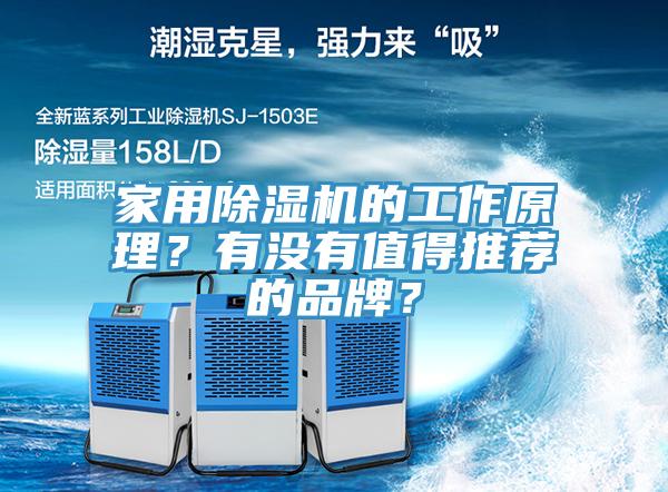 家用草莓视频污污污污的工作原理？有沒有值得推薦的品牌？