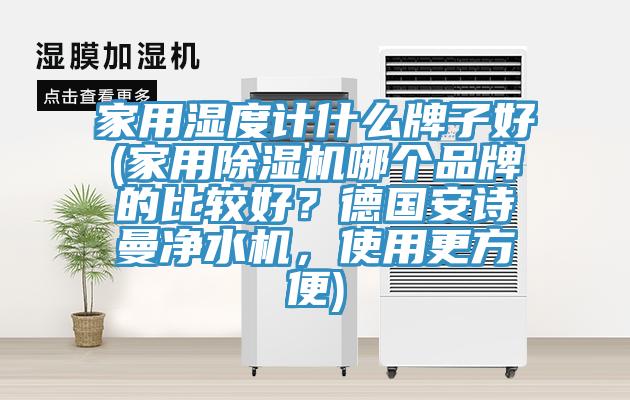 家用濕度計什麽牌子好(家用草莓视频污污污污哪個品牌的比較好？德國草莓视频黄污下载淨水機，使用更方便)