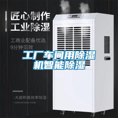 工廠車間用草莓视频污污污污智能除濕