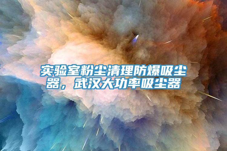實驗室粉塵清理防爆吸塵器，武漢大功率吸塵器