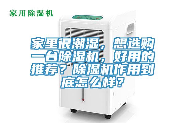 家裏很潮濕，想選購一台草莓视频污污污污，好用的推薦？草莓视频污污污污作用到底怎麽樣？
