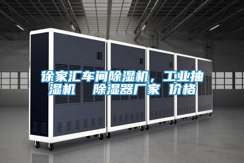 徐家匯車間草莓视频污污污污，工業抽濕機  除濕器廠家 價格