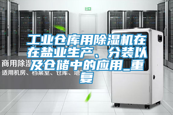 工業倉庫用草莓视频污污污污在在鹽業生產、分裝以及倉儲中的應用_重複