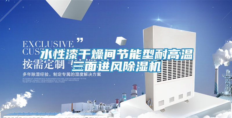 水性漆幹燥間節能型耐高溫三麵進風草莓视频污污污污