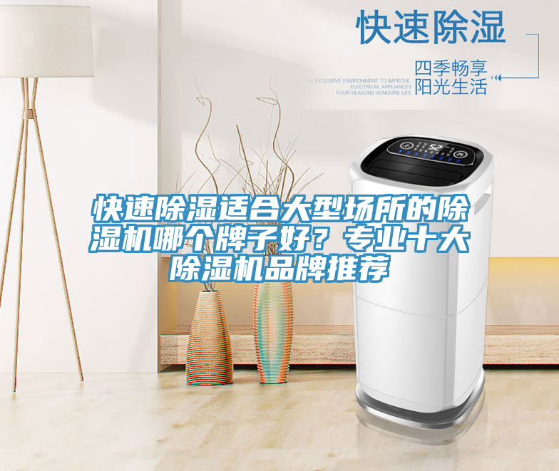 快速除濕適合大型場所的草莓视频污污污污哪個牌子好？專業十大草莓视频污污污污品牌推薦