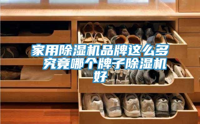 家用草莓视频污污污污品牌這麽多 究竟哪個牌子草莓视频污污污污好