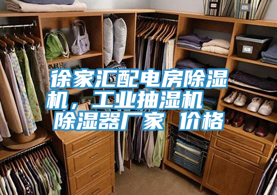 徐家匯配電房草莓视频污污污污，工業抽濕機  除濕器廠家 價格