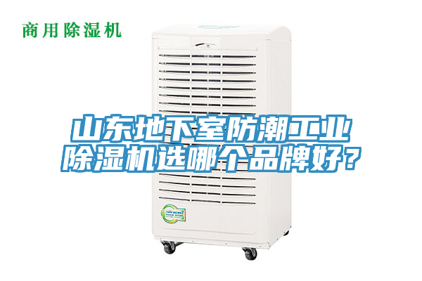 山東地下室防潮工業草莓视频污污污污選哪個品牌好？