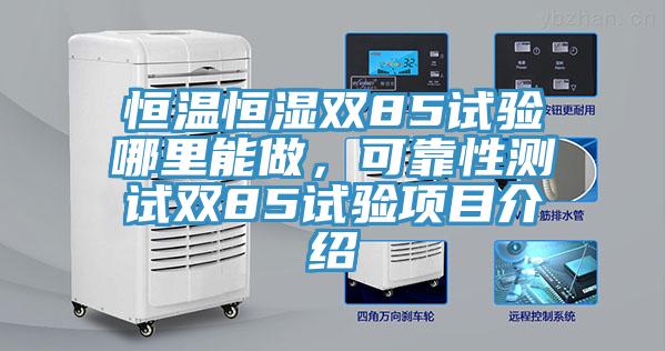 恒溫恒濕雙85試驗哪裏能做，可靠性測試雙85試驗項目介紹