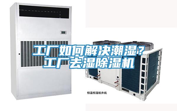 工廠如何解決潮濕？工廠去濕草莓视频污污污污