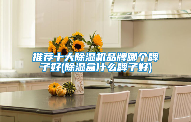 推薦十大草莓视频污污污污品牌哪個牌子好(除濕盒什麽牌子好)