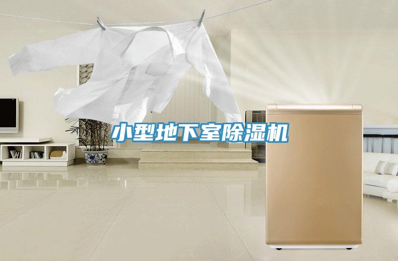 小型地下室草莓视频污污污污