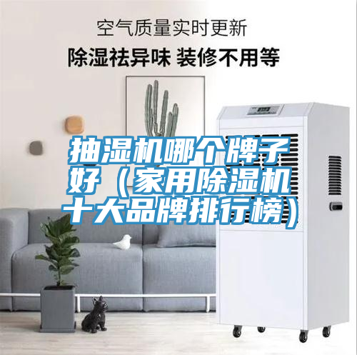 抽濕機哪個牌子好（家用草莓视频污污污污十大品牌排行榜）