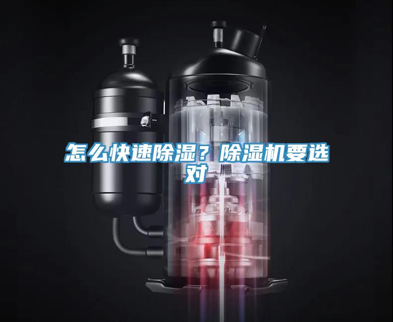 怎麽快速除濕？草莓视频污污污污要選對