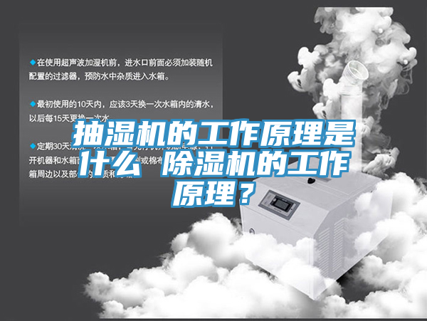 抽濕機的工作原理是什麽 草莓视频污污污污的工作原理？