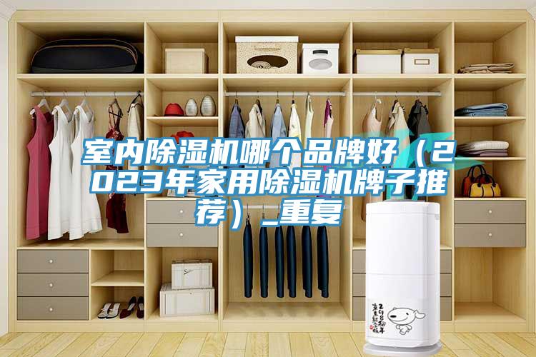 室內草莓视频污污污污哪個品牌好（2023年家用草莓视频污污污污牌子推薦）_重複