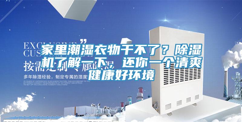 家裏潮濕衣物幹不了？草莓视频污污污污了解一下，還你一個清爽健康好環境