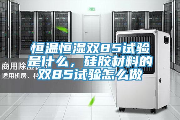 恒溫恒濕雙85試驗是什麽，矽膠材料的雙85試驗怎麽做