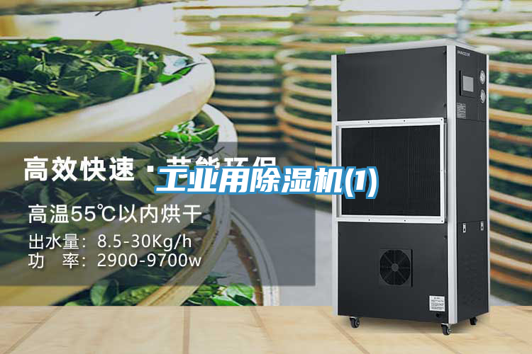 工業用草莓视频污污污污(1)