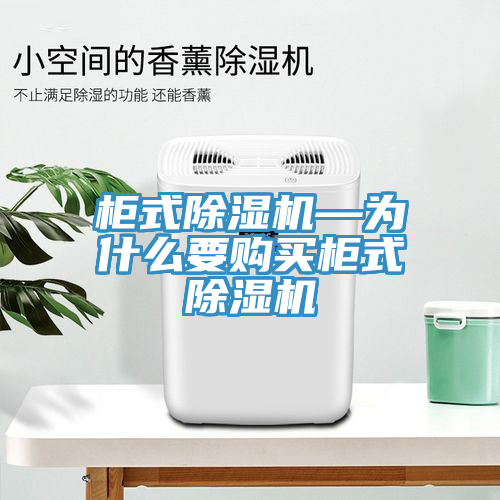 櫃式草莓视频污污污污—為什麽要購買櫃式草莓视频污污污污