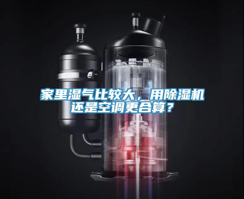 家裏濕氣比較大，用草莓视频污污污污還是空調更合算？