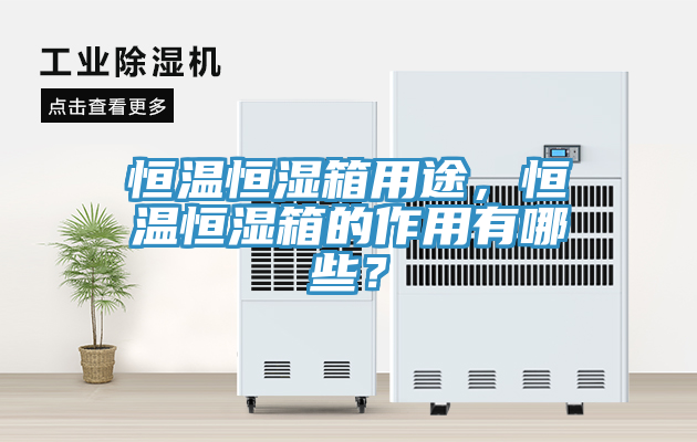 恒溫恒濕箱用途，恒溫恒濕箱的作用有哪些？